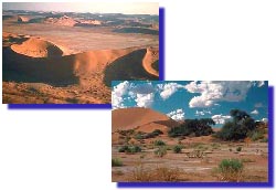 Les dunes du désert du Namib