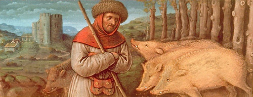Paysan du Moyen Âge amène les cochons à la glandée